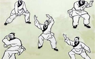 运动养生需辩证 因人因时因体质