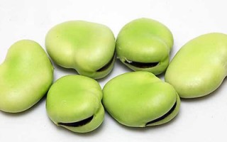 4款蚕豆养生膳食