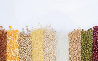 6款适合秋季的五谷杂粮粥，营养全面去秋燥