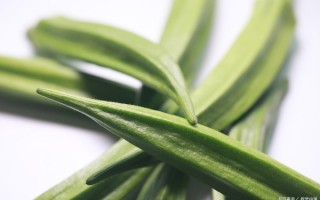 食疗养生法中，有哪些方法可以长期坚持？