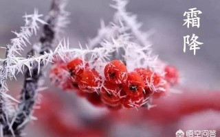 10月24日，就是“霜降”节气了，饮食上吃点啥好？又该如何养生，健康过冬？