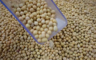 癌症是吃出来的? 医生: 5大蔬菜全都“致癌”, 你却天天在吃! 