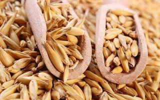 荞麦浑身都是宝 堪称谷物中的全能冠军