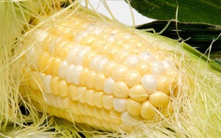 玉米须养生小吃食3款