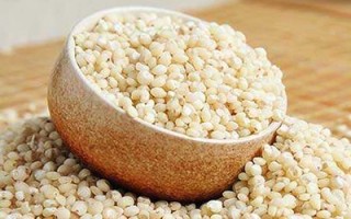 常见食物寒凉温热分类