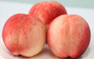 中医角度解读“桃养人，杏伤人，李子树下埋死人”