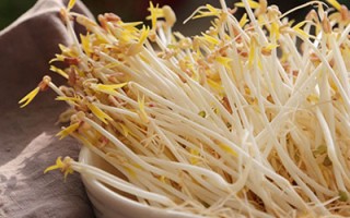 豆卷又称“如意菜” 利水泻湿又祛斑