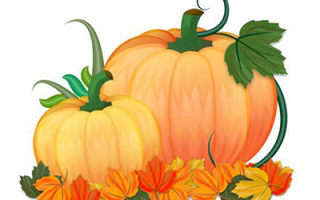 金秋到来南瓜“尝” 亦饭亦菜清甜香