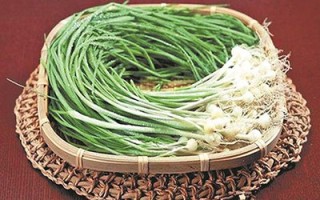 亦菜亦药话薤白 外敷治疮疡，内服宽胸阳