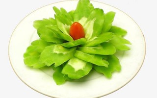 苦入心但未必是养心