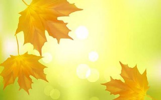 秋季养生“三阶段”初、中、晚秋顺时变