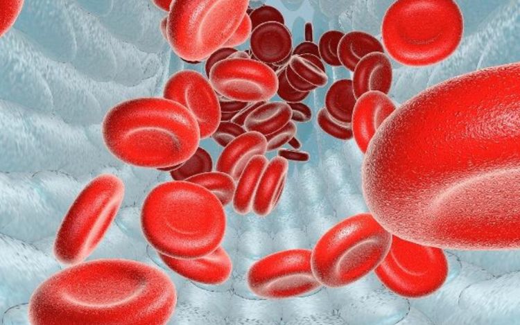 血管喜欢的食物，若你爱吃，清理垃圾，净化血液，血管健康人年轻 