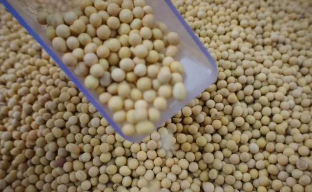 癌症是吃出来的? 医生: 5大蔬菜全都“致癌”, 你却天天在吃! 