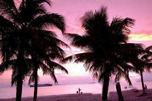 养生旅游的几种打开方式,你get了吗? 养生旅游的几种打开方式,你get了吗?