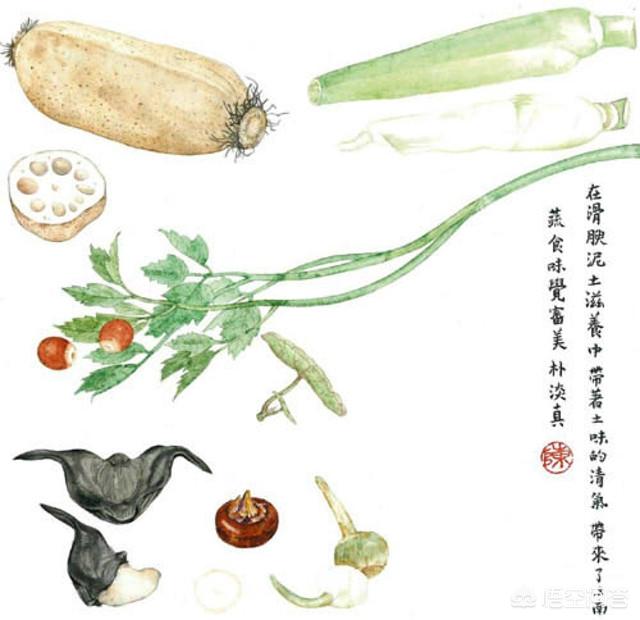 立秋养生吃什么？